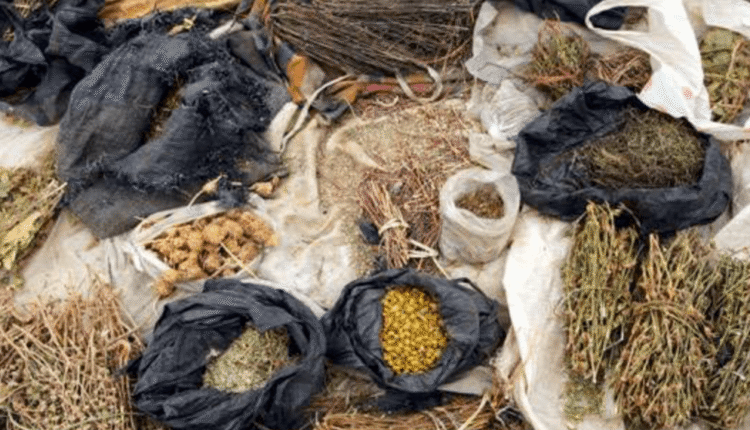 Association moves to end quackery in traditional medicine