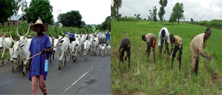 NOA urges dialogue to curb farmers-herders clashes in Yobe