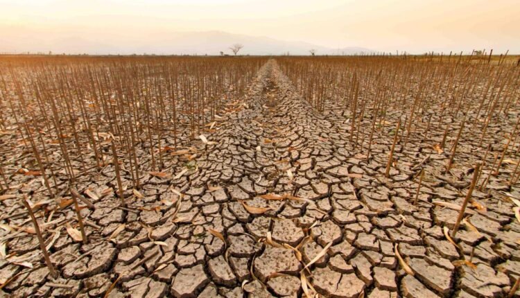 Stakeholders review drought, desertification policy to boost food security