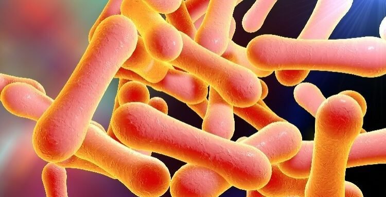 Suspected diphtheria outbreak kills 3 children in Zaria 