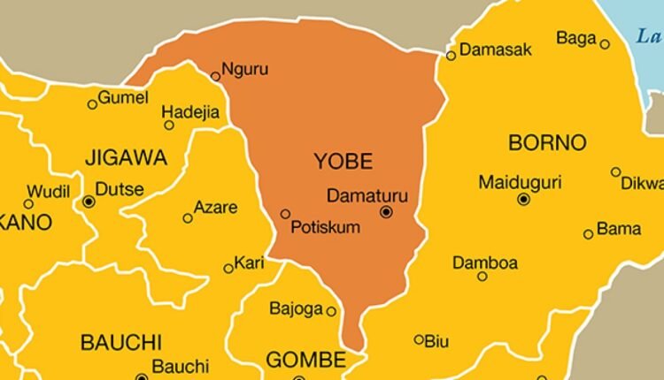 Yobe government bans “marker day” celebrations at schools