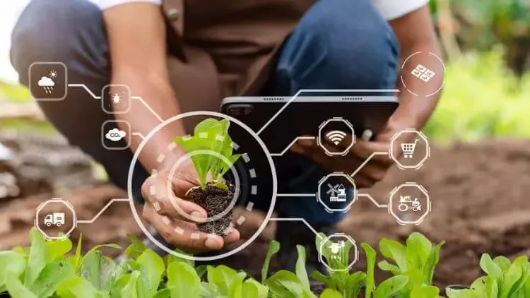 Farmers advocate for climate-smart agriculture for better yields