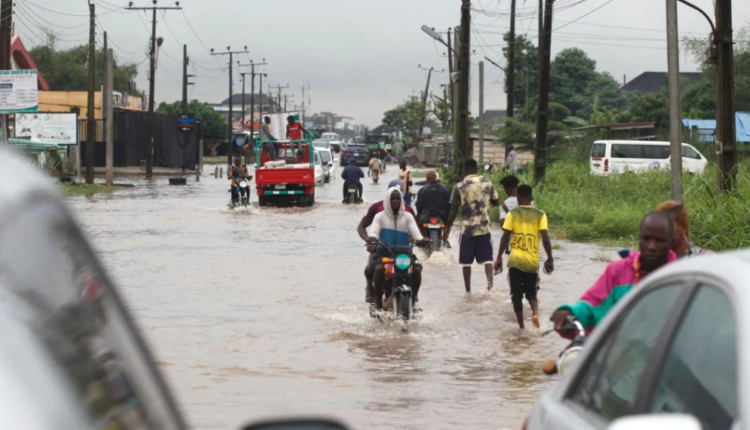 Flood:Yobe unveils response plan for 467,976 high risk persons