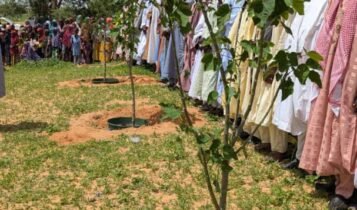 Climate Change: The National Agency for the Great Green Wall raises alarm against desert encroachment in northern states.