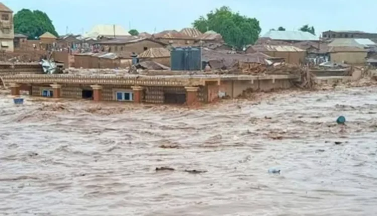 NEMA donates relief items to Adamawa flood victims