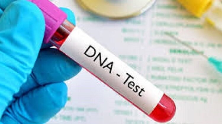 Paternity uncertainty persists, testing rises to 13.1% – 2025 DNA report shows