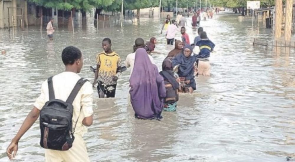 Yobe Govt. initiates cash-for-rent scheme for flood victims