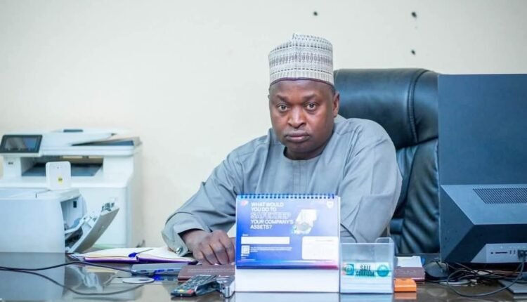 Yobe Govt Recovers 48 Stranded Cows