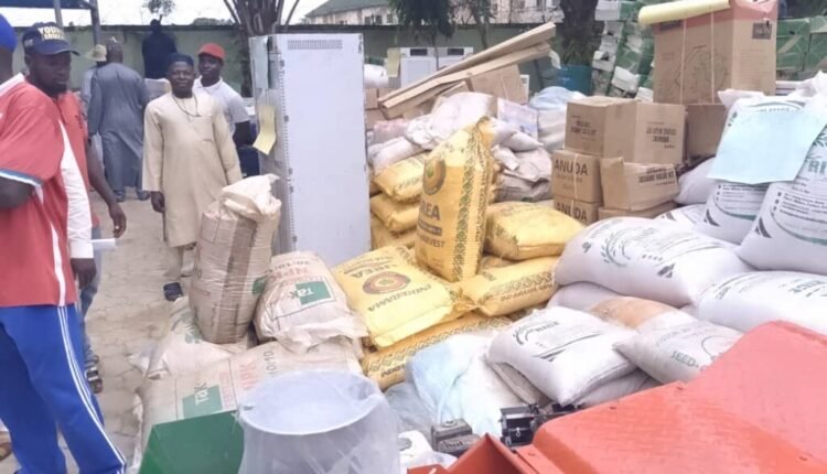 NCF distributes improved seeds to farmers in Yobe, unveils seed bank plan 