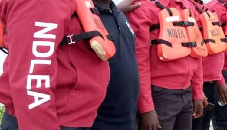 NDLEA smashes drug cartel, seizes N5.3bn Australia-bound cocaine
