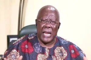 Bode George faults court ban on PDP convention