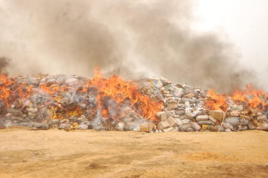 NDLEA destroys over 8,000 kg of illicit drugs in Yobe