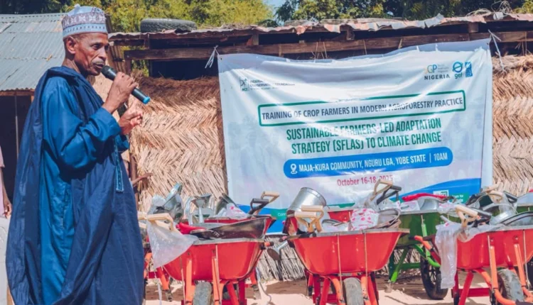 NCF, UNDP train 200 Yobe farmers on sustainable agroforestry