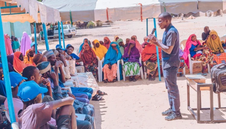 NCF, UNDP–GEF empower 180 women, youths in Yobe