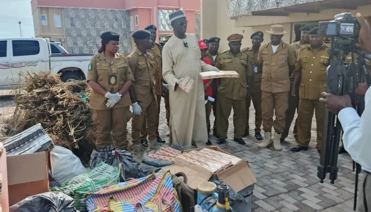 NDLEA destroys cannabis farm, arrests 58 suspects in Adamawa