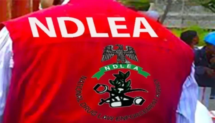 NDLEA intercepts U.S., UK, DRC-bound illicit drug consignments at Lagos airport 