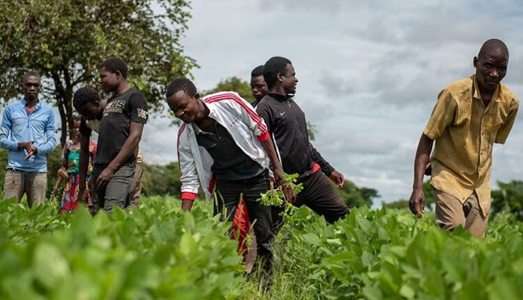 Nigerian agri-tech start-up, among World Food Prize finalists