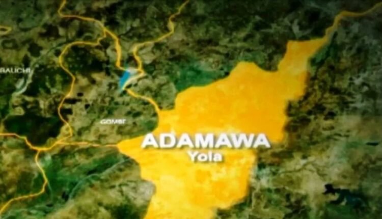 Update: Adamawa flesh-eating disease not Buruli Ulcer — FG