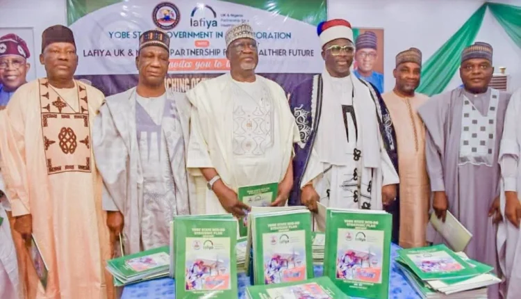 Yobe unveils 3-year strategic human capital development plan