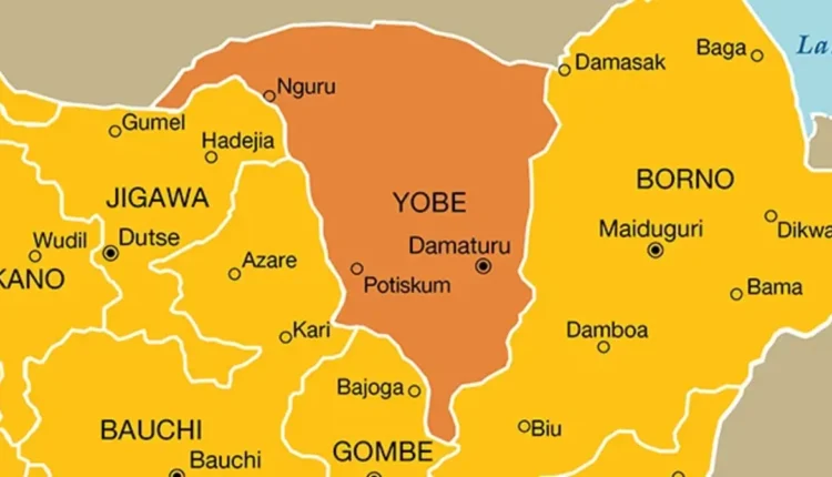 FG lauds progress on EU, AFD’s intervention project in Borno, Yobe