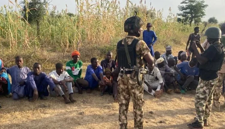 Troops rescue 86 victims, nab 29 terror suspects in Borno