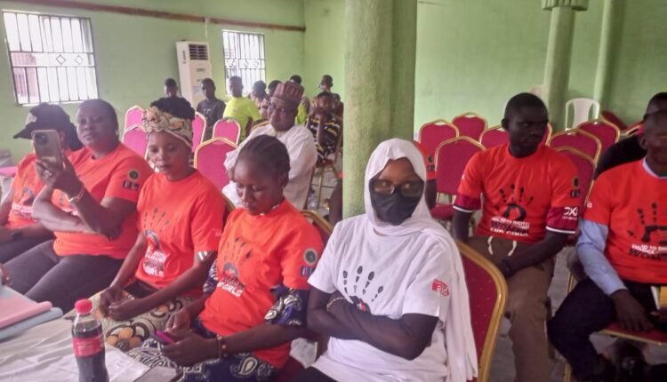 16 Days of Activism: stakeholders call for stronger regulation of digital space in Taraba 