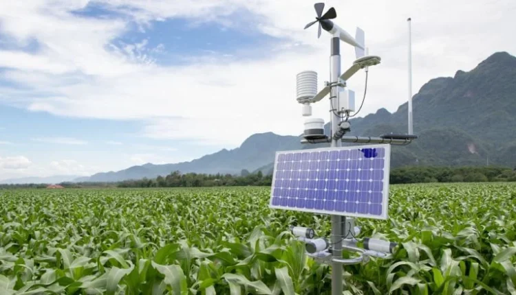 Foundation trains 14,000 Bauchi farmers in smart agriculture skills