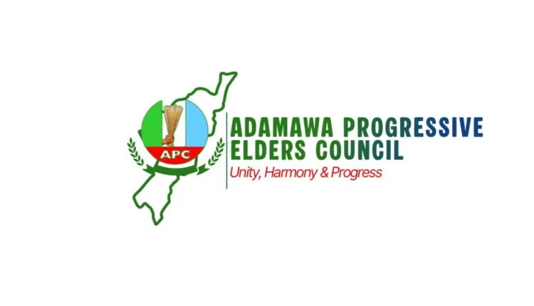Adamawa Progressive Elders’ Council endorses Tinubu for 2027
