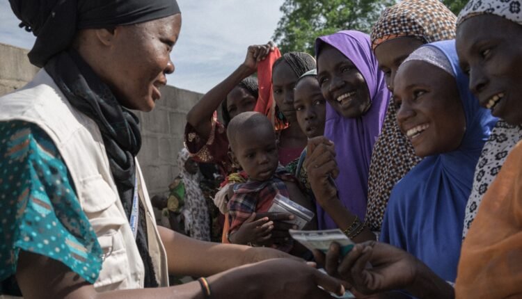 GIZ, Action Against Hunger to support 1.4m vulnerable persons in Borno, Adamawa