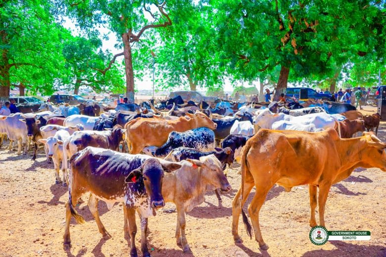 FG Commissions Artificial Insemination, Animal Breed Multiplication Center In Sokoto