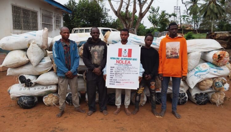 China-based businessman, 2 Angolans excrete 236 cocaine wraps at Kano, Abuja airports