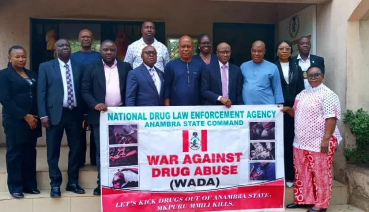 NDLEA and DSS Join Forces to Combat Drug Abuse in Anambra
