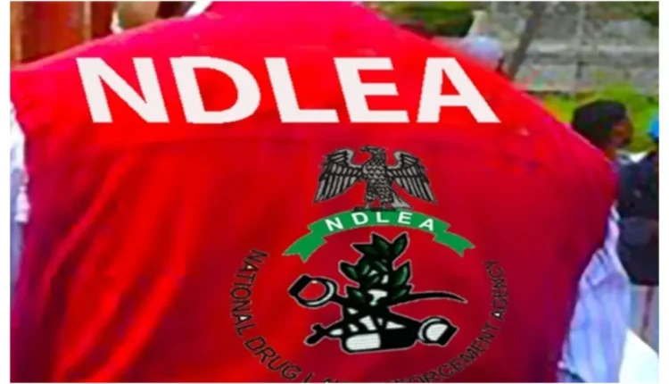 NDLEA arraigns man over alleged drug trafficking