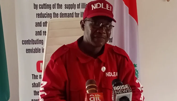 NDLEA seizes 7,746 tonnes of illicit drugs in Kogi