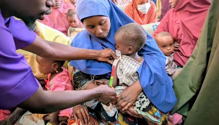 EU support helps 40,000 malnourished children in Yobe