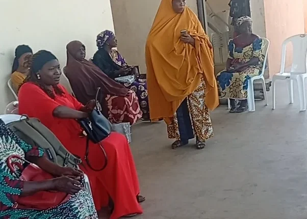 Gender-based violence: Finding succour from survivors in Kaduna communities