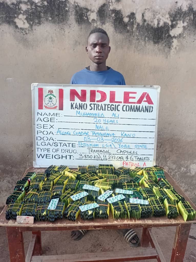Ex-Lagos council chief arrested as NDLEA recovers illicit drugs in baby diapers