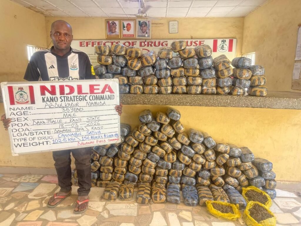 NDLEA intercepts opioids, meth in carton walls, winter jackets, cream at Lagos airport