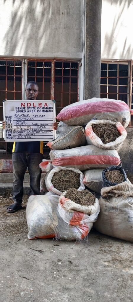 NDLEA intercepts large cocaine consignment concealed in heads of dry stock fish