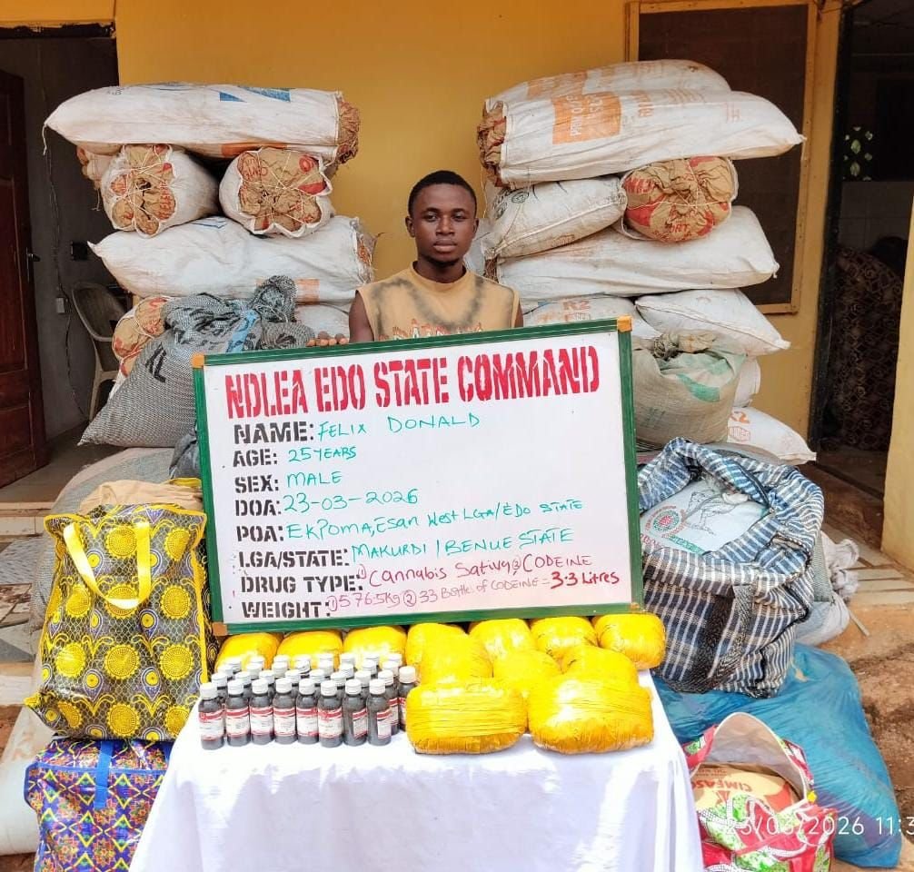 NDLEA Smashes Global Drug Ring: Cocaine Found in Fish Heads; 80-Year-Old Grandpa Arrested