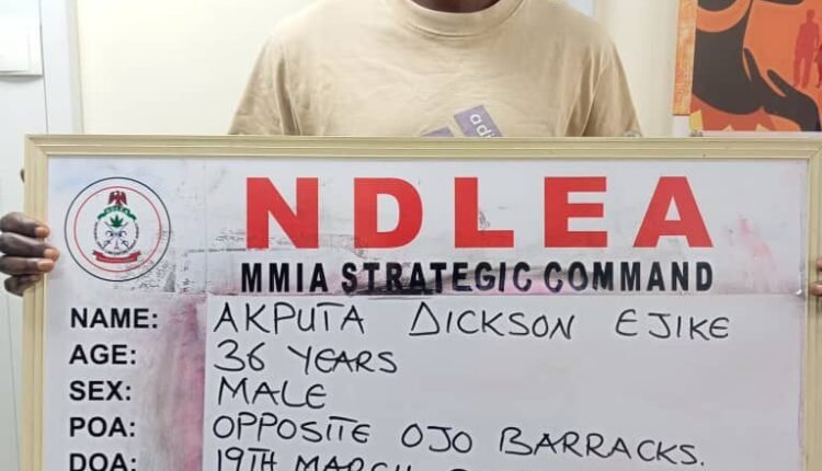 NDLEA intercepts large cocaine consignment concealed in heads of dry stock fish