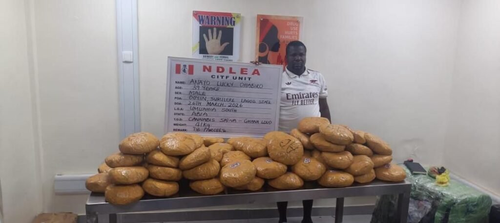 NDLEA intercepts large cocaine consignment concealed in heads of dry stock fish
