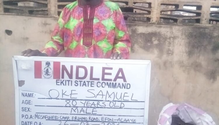 NDLEA Smashes Global Drug Ring: Cocaine Found in Fish Heads; 80-Year-Old Grandpa Arrested