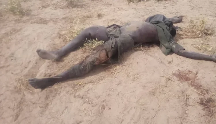 Troops repel ISWAP attack on military base in Yobe