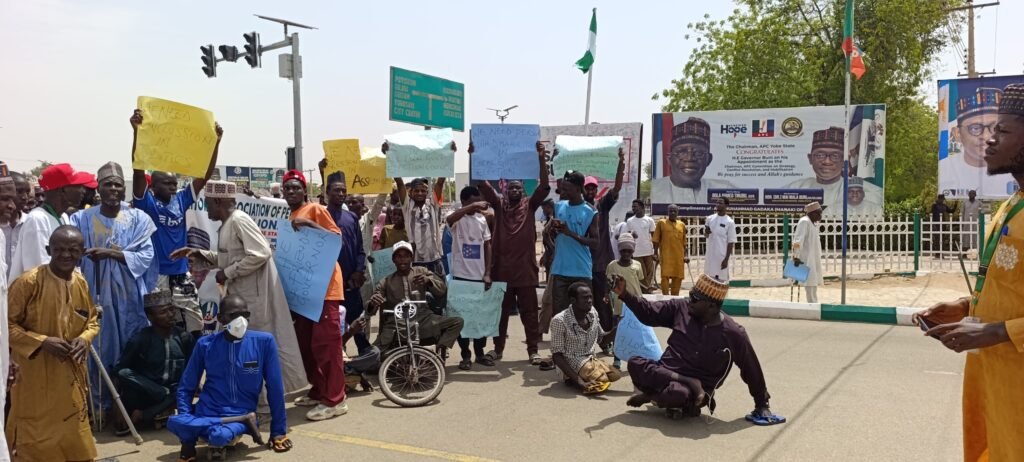 JONAPWD Yobe chapter advocates for more inclusion of persons with disabilities in elective positions