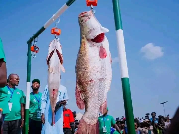 Gen. TY Danjuma hails Nwonyo Fishing Festival as Symbol of National Unity, peace