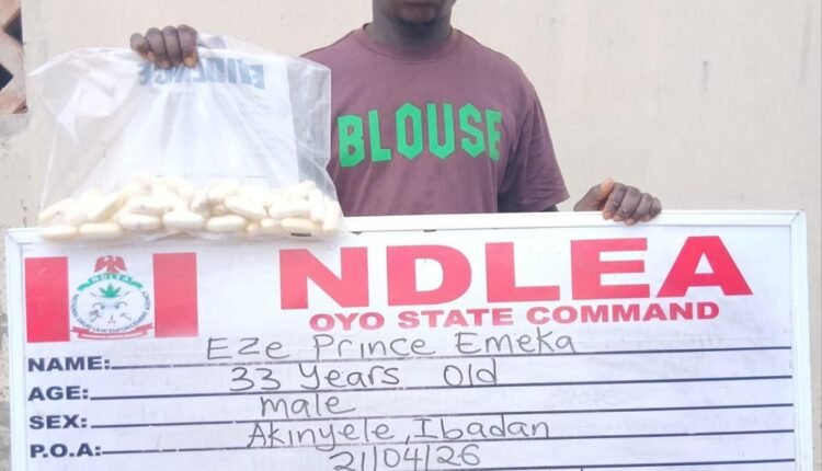 NDLEA intercepts terror drug ‘captagon’ in Kwara as bizman excretes 45 cocaine wraps