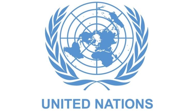 UN reaffirms support for Nigerian-led solutions