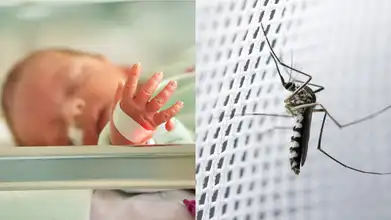 WHO prequalifies new infant malaria treatment