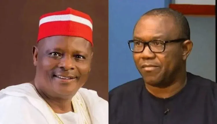 Coalition launches Village Boys Movement, targets 1m new voters for Obi/Kwankwaso in S’East